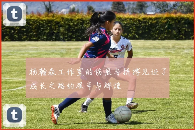 杨瀚森工作室的伤痕与拼搏见证了成长之路的艰辛与辉煌