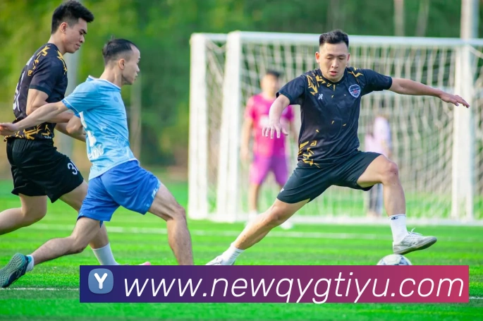 奇异果体育平台生态图